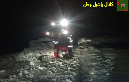 ۲۵ خاصیت یک سبزی خوش بو/گیاه ضد دیابت را بشناسید