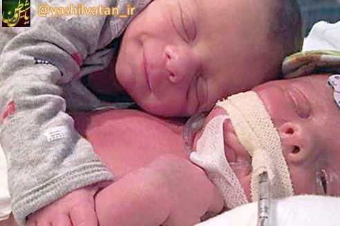چهارمین جشنواره انار و اولین جشنواره برداشت انجیر در مرکز نوردوز ارس برگزار شد