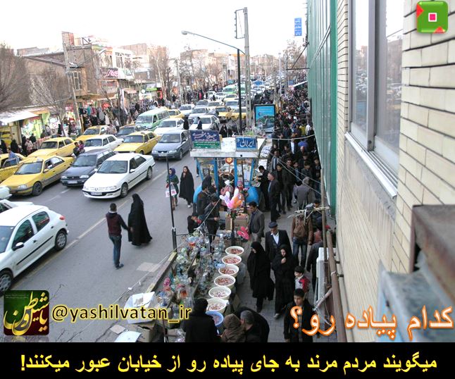 ? حمله گرگها به گله گوسفندان در یکی از روستاهای مرند
