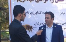 صادرات محصول زنبورستان‌های آذربایجان شرقی به ‌چین و مالزی