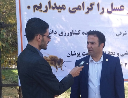 صادرات محصول زنبورستان‌های آذربایجان شرقی به ‌چین و مالزی