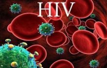 ۳۶ هزار نفر در کشورمبتلا به عفونت HIV هستند/ ۵۰۰ نفر مبتلا به ایدز در استان