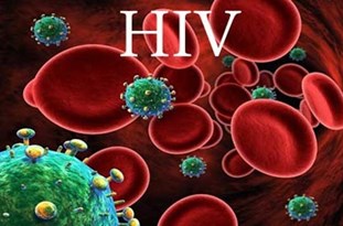 ۳۶ هزار نفر در کشورمبتلا به عفونت HIV هستند/ ۵۰۰ نفر مبتلا به ایدز در استان
