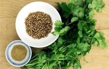 ۲۵ خاصیت یک سبزی خوش بو/گیاه ضد دیابت را بشناسید