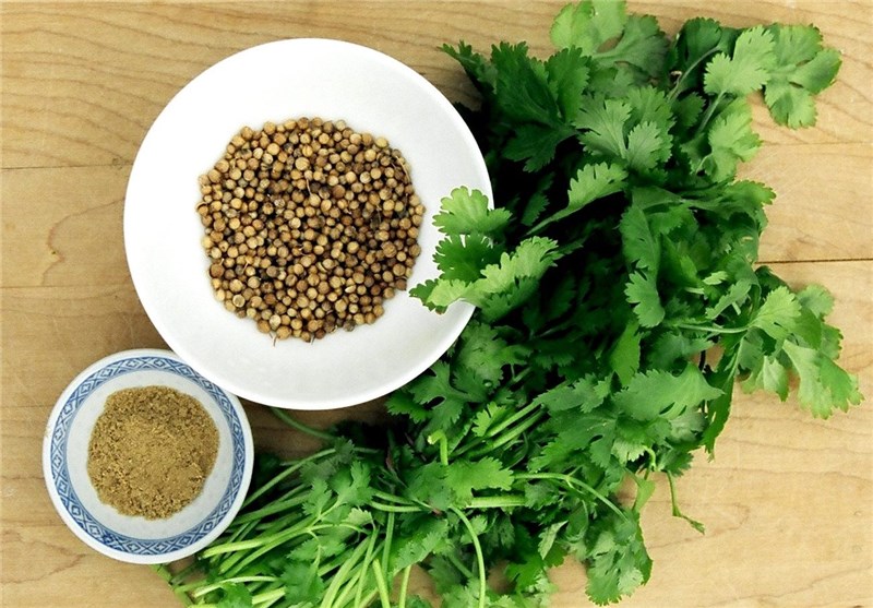 ۲۵ خاصیت یک سبزی خوش بو/گیاه ضد دیابت را بشناسید