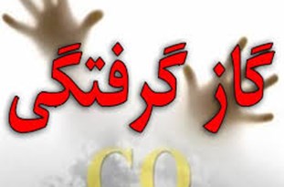 گازگرفتگی ۱۳ زن در تالار عروسی ایلخچی
