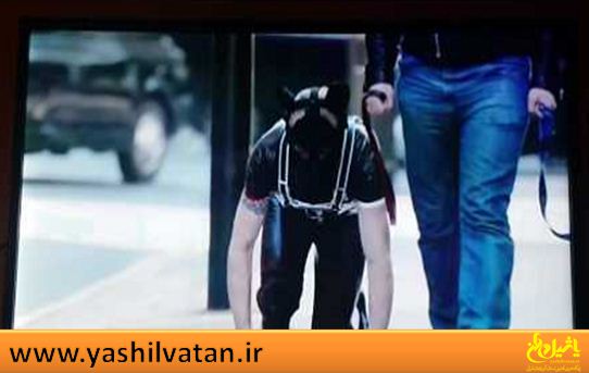 پیدایش موجود جدیدی به نام «بشر توله‌سگ!» در انگلستان + تصاویر