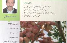 پدر پسته آذربایجان: ۲۰ سال پیش می گفتند دیوانه ام!