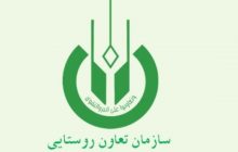 ? گمانه زنی برای انتصاب مدیرعامل جدید تعاون روستایی کشور