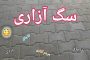 سامانه سهام عدالت برای ثبت شبا فعال شد/واریز سود ۴۵۰ میلیارد تومان سود قبل از مجامع امسال
