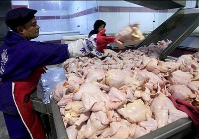 قیمت مرغ به ۸۱۵۰ تومان رسید