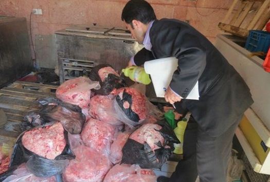 بیش از ۴۸۰ تن گوشت و فرآورده خام دامی غیر مجاز در آذربایجان شرقی کشف شد