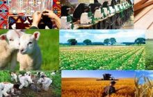 تصویب اعطای ۷۰ میلیارد ریال تسهیلات به پروژه‌های اشتغال‌زایی در آذربایجان شرقی