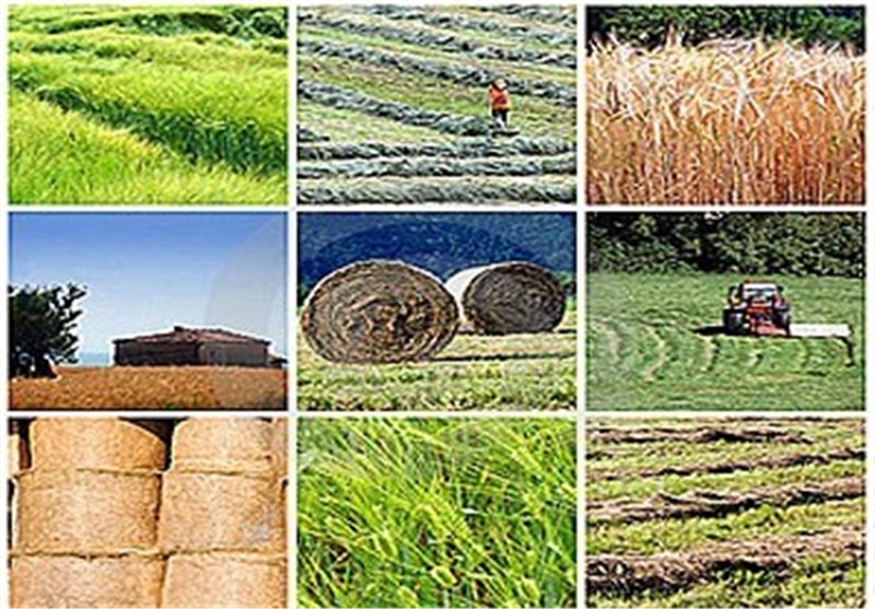 تبریز| نخبگان باید وارد تشکل‌های تعاون روستایی شوند