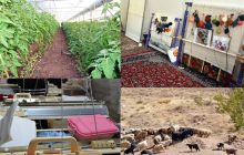 آغاز ارائه مشاوره به روستاییان برای دریافت وام اشتغال
