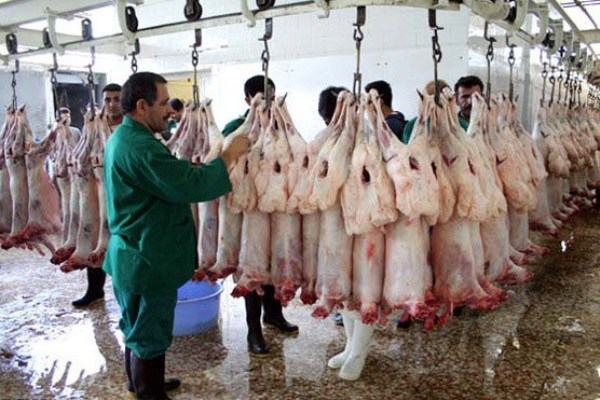 آغاز فعالیت عرضه دام در ۲۷ مرکز / کشتار دام در خیابان ممنوع می‌شود