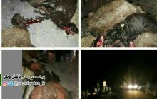 تصادف در جاده روستای وانلوجق شهرستان مرند