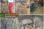 رئیس اداره بهزیستی مرند: آمار طلاق در خانواده های مذهبی کمتر است/ ضعف مهارت های فردی زوجین عامل مهم طلاق است