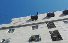 عمده دلایل خودکشی/فکر خودکشی در جامعه باید کاهش یابد