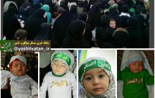 مراسم شیرخوارگان حسینی در مرند+تصویر