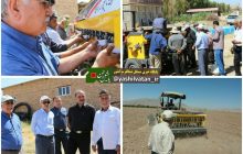 کاشت دانه روغنی کلزا برای اولین بار در مرند