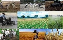 پرداخت ۵۰درصد دوم وام اشتغال روستایی مشروط شد