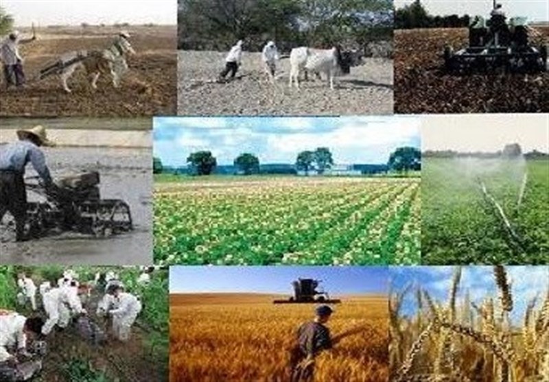 پرداخت ۵۰درصد دوم وام اشتغال روستایی مشروط شد