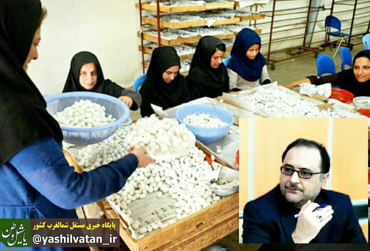 توانمندسازی تعاونیهای زنان روستایی کانون ظرفیت های نوین توسعه روستایی