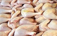 قیمت امروز مرغ (۹۷/۰۸/۲۳)