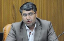 افزایش قیمت کالا به دلیل فضای روانی صعود نرخ ارز بود/ دولت عملکرد بدی داشت