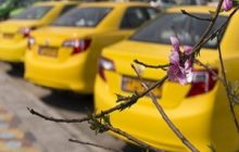به اجرا در آمدن بیمه تکمیلی رانندگان تاکسی تا پایان سال