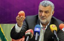 وزیر جهاد کشاورزی: میوه شب عید تا بهمن به استان‌ها حمل می‌شود