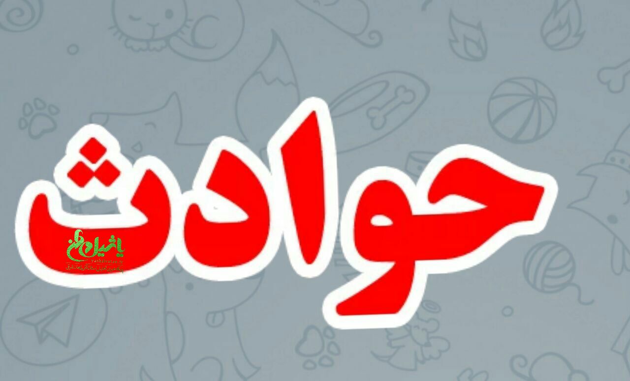خودکشی جوان مرندی با حضور پلیس به سرانجام نرسید