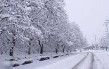 امروز کدام استان‌ها سفیدپوش یا بارانی می‌شوند