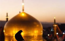 عضو مجلس خبرگان رهبری از برگزاری همایش بین‌المللی امام رضا(ع) در مشهد مقدس خبر داد و گفت: تاکنون ۴ پیش نشست خارجی در هند، لبنان، اندونزی و مالزی و سه پیش نشست در استان‌های قم، اصفهان، ارومیه در داخل کشور برای این همایش برگزارشده است