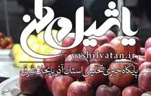راهکارهای دولت برای تنظیم بازار شب عید/ ذخیره ۶۰هزارتنی میوه