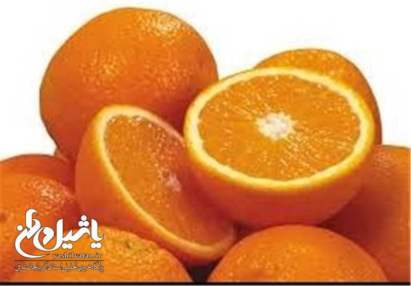 قیمت عمده فروشی ۵۴ قلم میوه و صیفی/ پرتقال ۶ هزار تومان شد + جدول