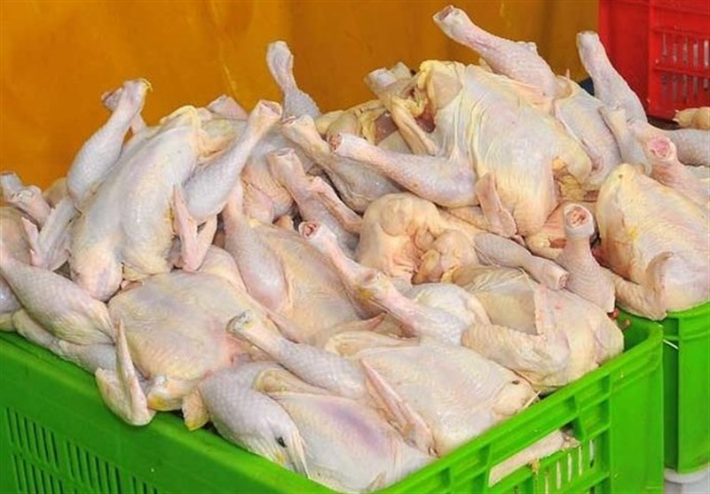 مرغ گران نخرید/ عرضه مرغ تنظیم بازاری به اندازه کافی