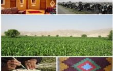 باید به سمت خوشه‌سازی اشتغال روستایی در آذربایجان شرقی حرکت کنیم