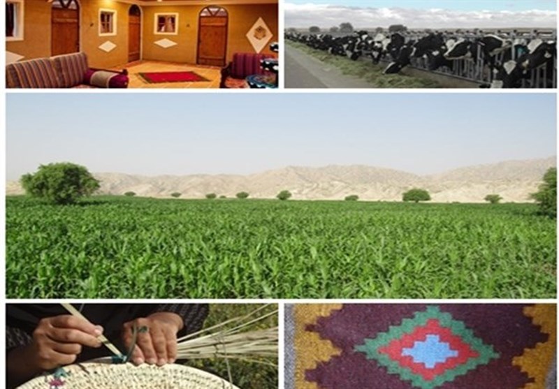 باید به سمت خوشه‌سازی اشتغال روستایی در آذربایجان شرقی حرکت کنیم