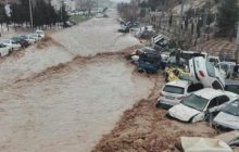 اسامی ۱۷ نفر از جان‌باختگان سیل شیراز اعلام شد