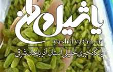 صادرات ۶۰ هزار تنی کشمش ملکان