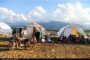 ویلموتس تا دوشنبه سرمربی تیم ملی میشود؟/ انتخاب دستیاران ایرانی برای سرمربی بلژیکی