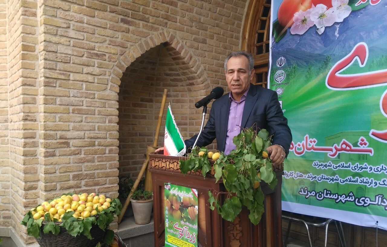اولین جشنواره زردآلوی مرند برگزار شد