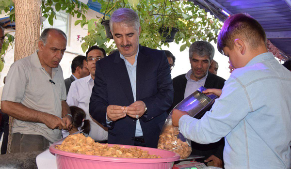 گزارش تصویری / جشنواره بادام در شهرستان مرند (روستای دولت آباد) برگزار شد