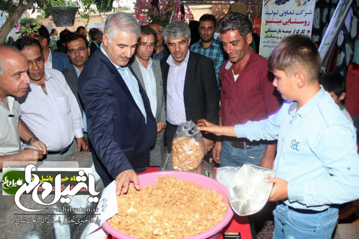۲۳۵ تن بادام در مرند تولید می‌شود
