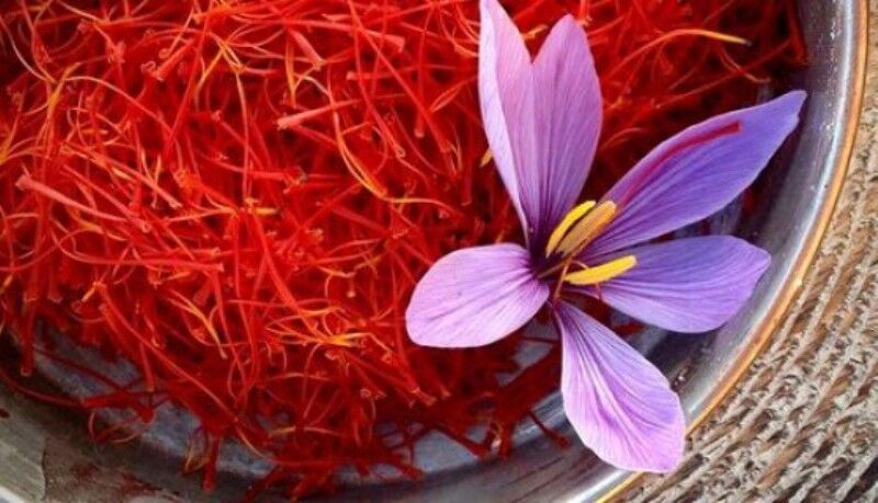 جشنواره زعفران مرند در تبریز برگزار می‌شود