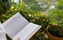 سازمان دارالقرآن، قرآن‌های سوخته مصلای شهر قدس را جایگزین کرد