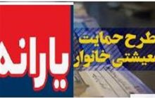 سامانه یارانه معیشتی همچنان غیرفعال است+تصویر