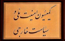 بررسی ابعاد حادثه سقوط هواپیمای اوکراینی در کمیسیون امنیت ملی مجلس